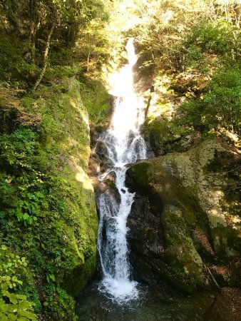 🌉 매화나무 폭포 공원 현수교(우메노키토도로키코엔츠리바시) 이미지 4